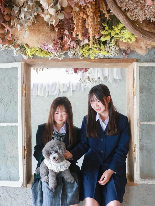 .

family photo♡

当店の家族写真プランは
わんちゃんと一緒に撮影することが
可能となっております🐶💓
お子様とわんちゃんの写真や
わんちゃんを含めた家族全員での写真も
お撮りすることができます🥰
是非himawariで家族みんなのお写真を
残しませんか？📷🤍

わんちゃんと一緒に撮影できる家族写真プランの詳細は
himawariホームページをご覧ください🌱

#photostudiohimawari 
#フォトスタジオヒマワリ
#滋賀県フォトスタジオ 
#犬フォト 
#犬のいる暮らし